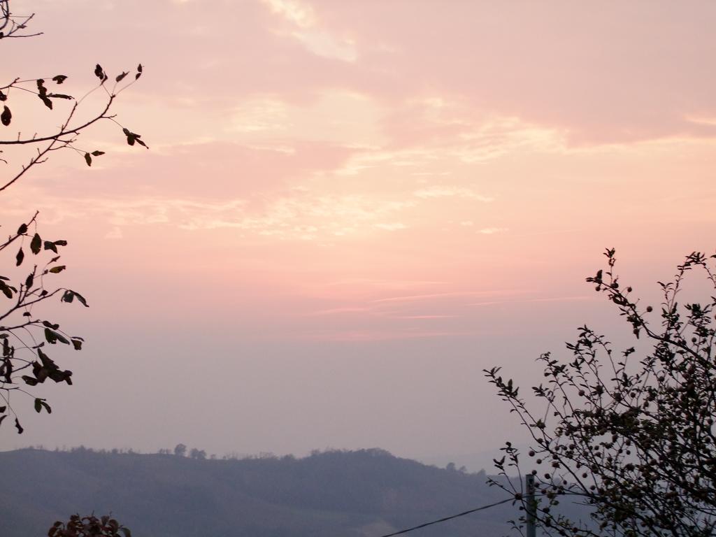 Casa Branzele Bed & Breakfast Trezzo Tinella Bagian luar foto