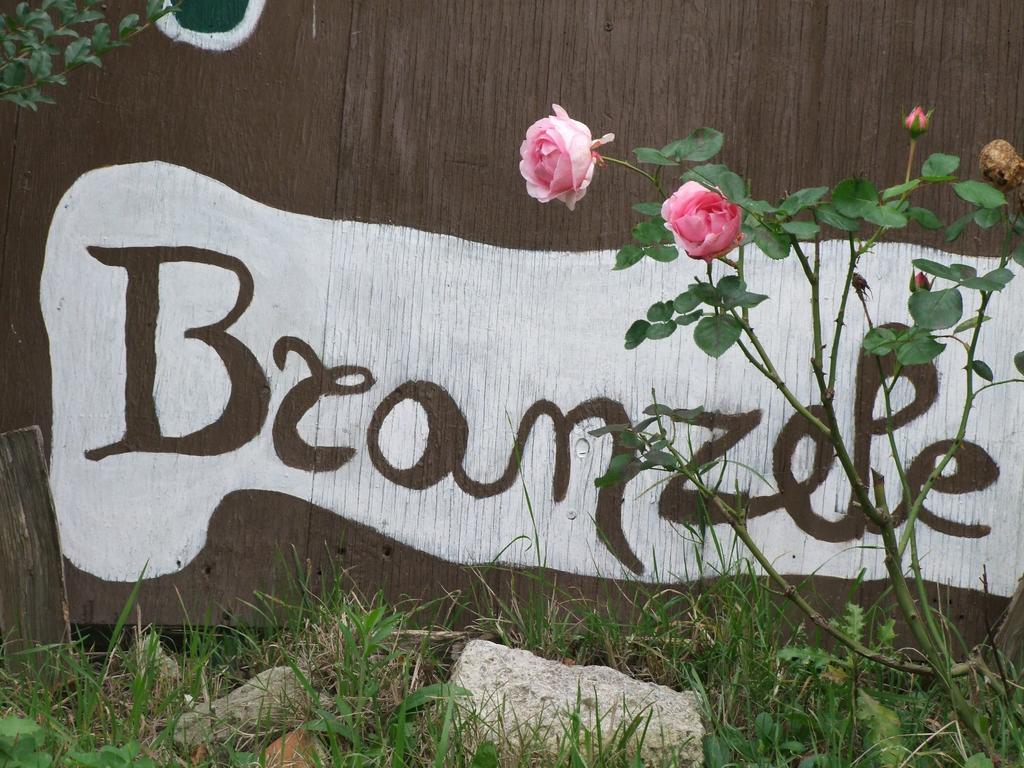 Casa Branzele Bed & Breakfast Trezzo Tinella Bagian luar foto