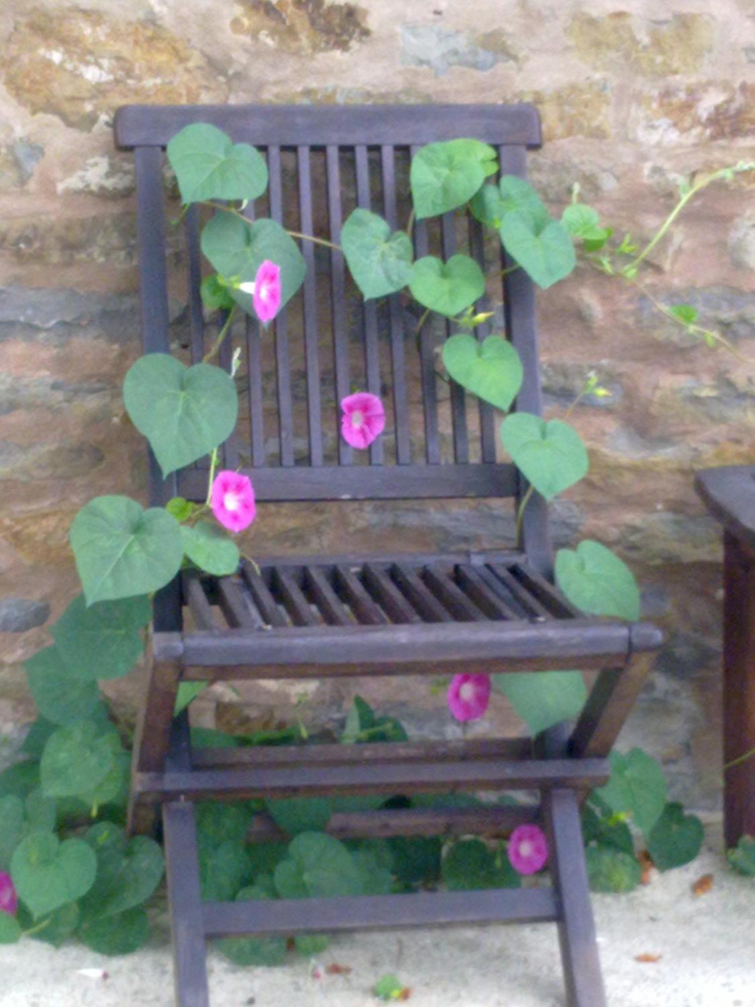 Casa Branzele Bed & Breakfast Trezzo Tinella Bagian luar foto