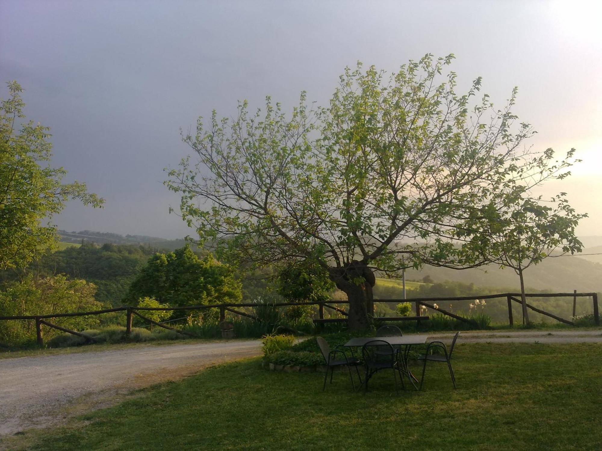 Casa Branzele Bed & Breakfast Trezzo Tinella Bagian luar foto