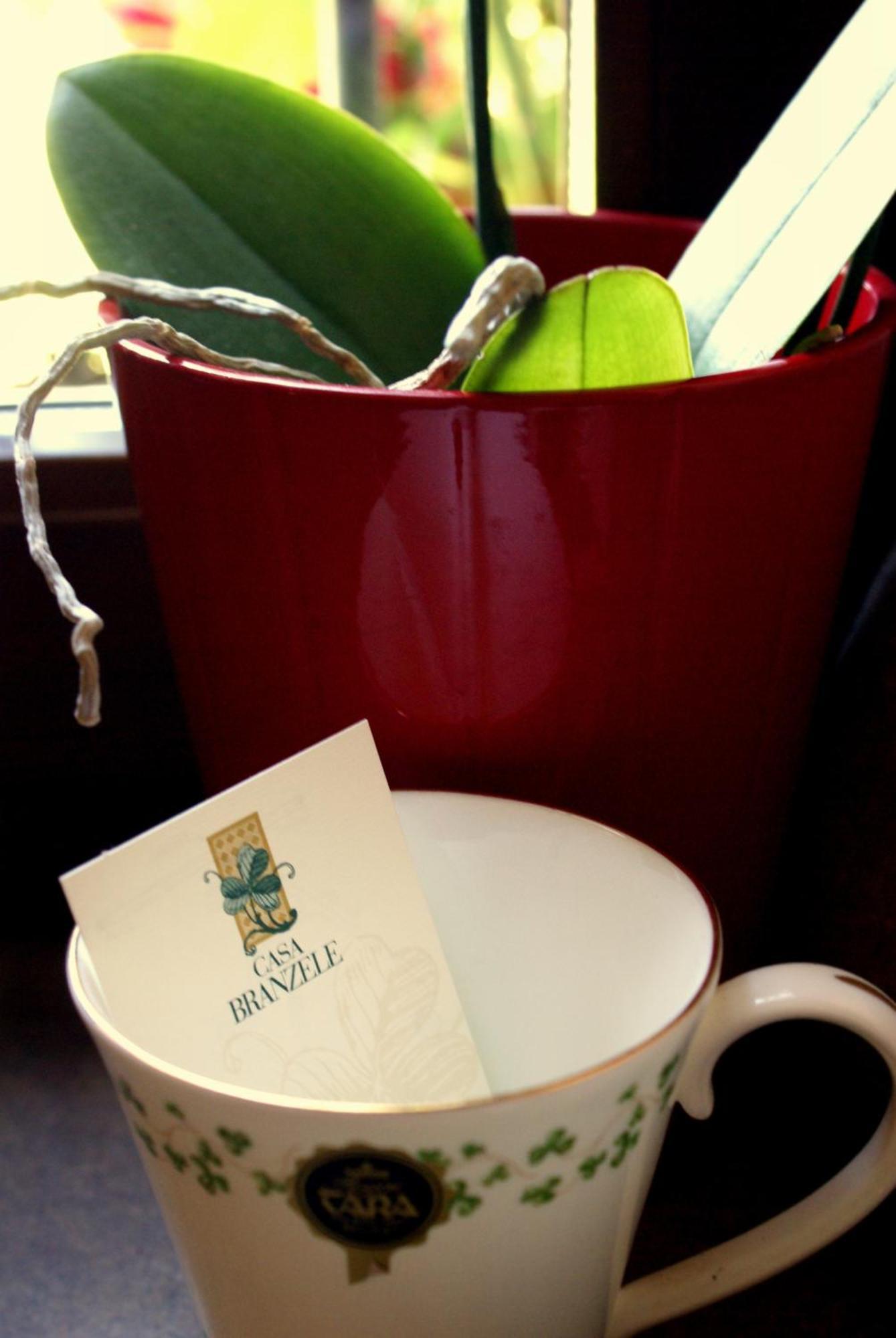 Casa Branzele Bed & Breakfast Trezzo Tinella Bagian luar foto
