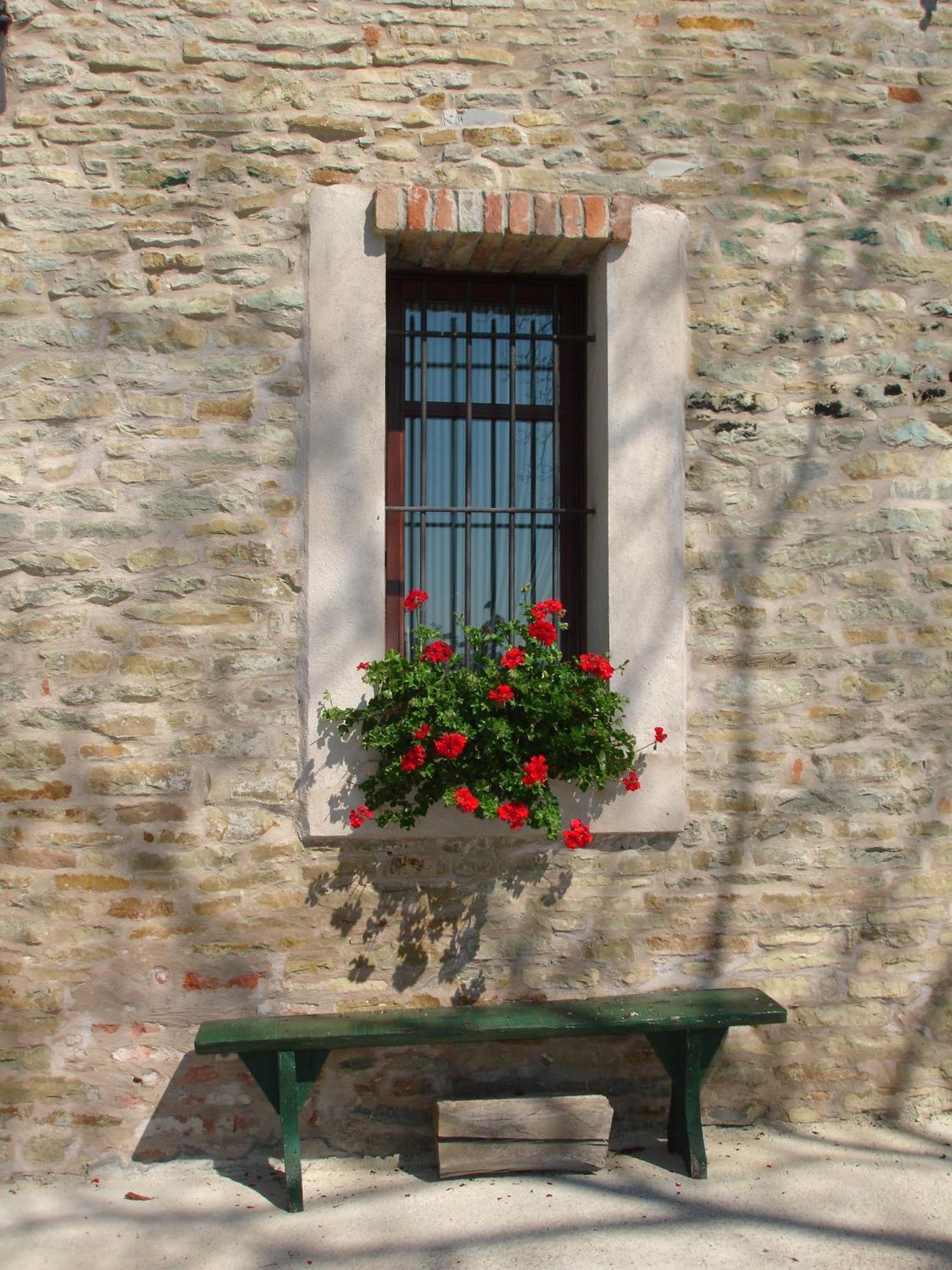 Casa Branzele Bed & Breakfast Trezzo Tinella Bagian luar foto