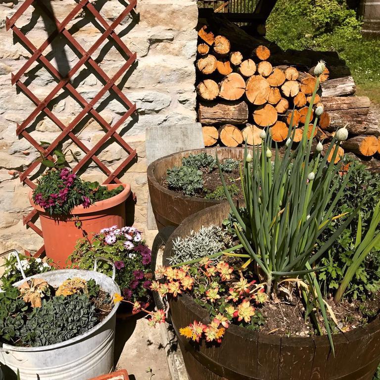 Casa Branzele Bed & Breakfast Trezzo Tinella Bagian luar foto