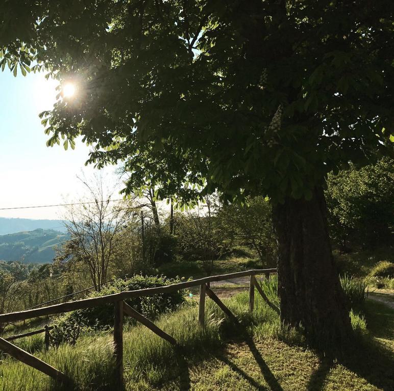 Casa Branzele Bed & Breakfast Trezzo Tinella Bagian luar foto